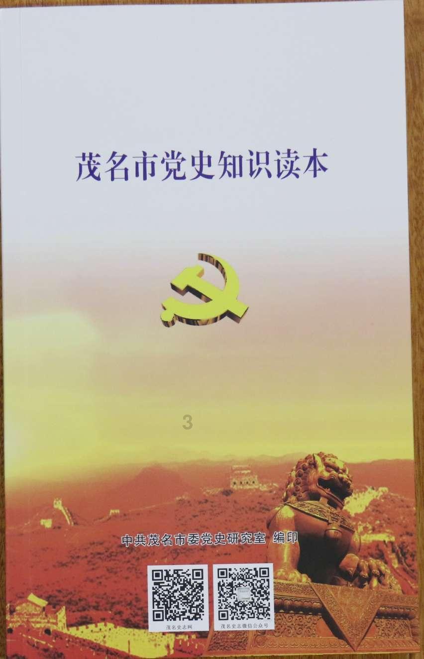 mstsc 远程桌面连接支持广域网连接吗